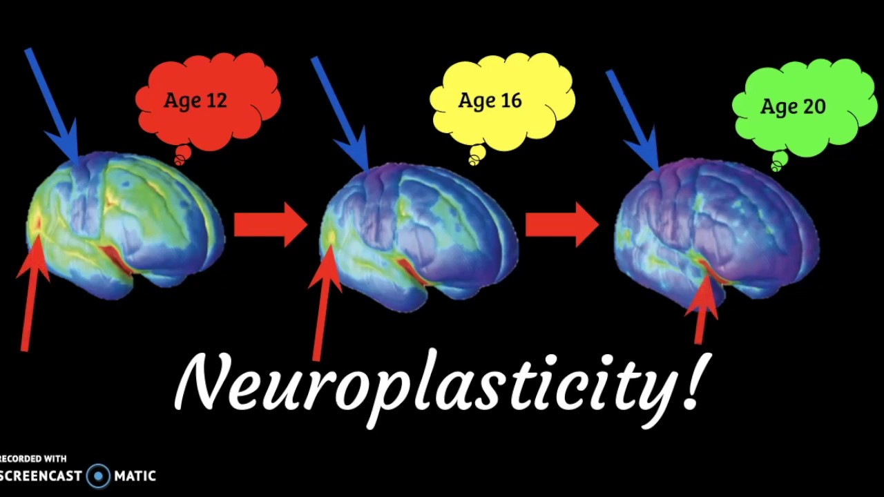 How Drugs Interact With And Change The Adolescent Brain YouTube