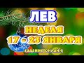 ЛЕВ ♌🎄🎄🎄 НЕДЕЛЯ с 17 - 23 ЯНВАРЯ 2022 года Таро Прогноз ГОРОСКОП гадание Angel Tarot Forecasts