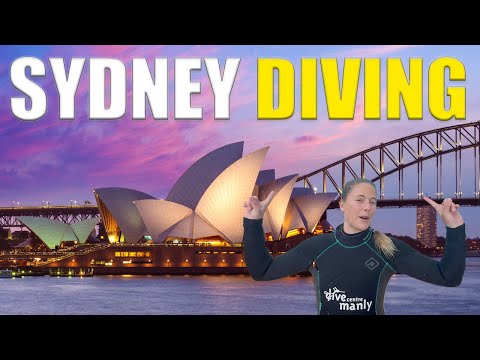 The Secret Underwater World of Sydney's Cabbage Tree Bay