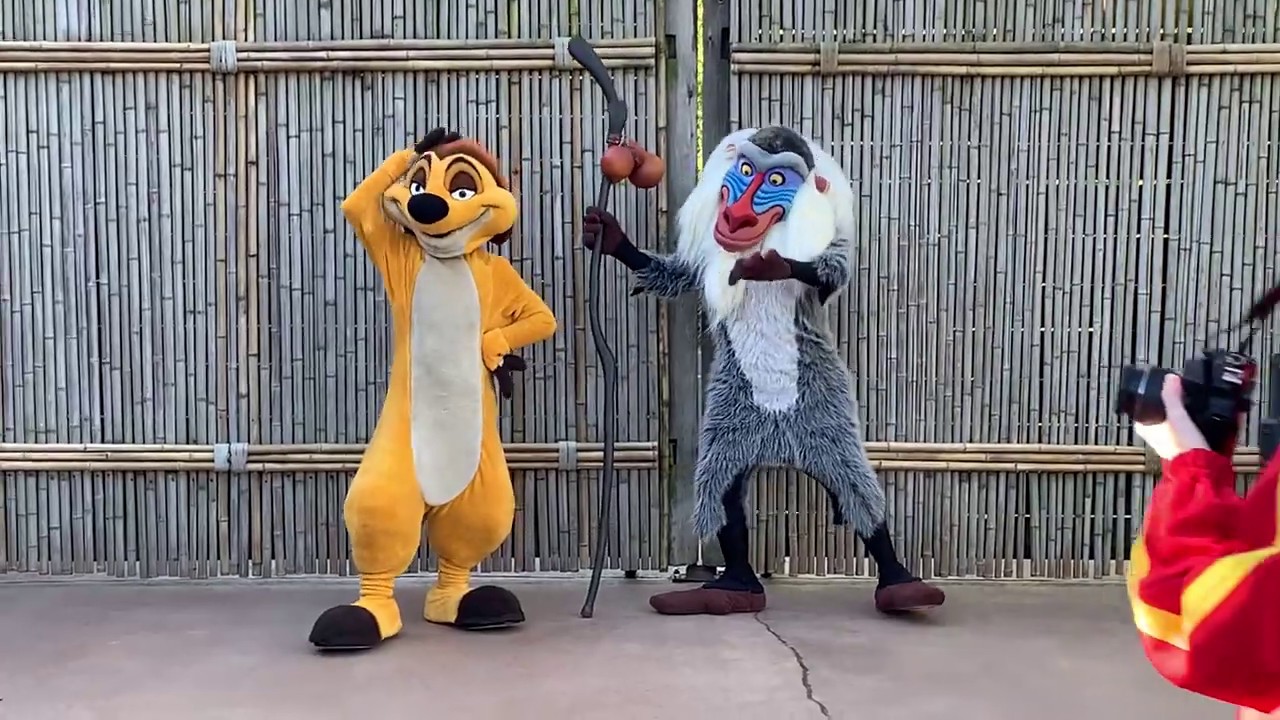 °o° Timon and Rafiki - YouTube