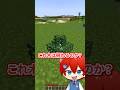 全てのモブと建物が小さくなってしまったマインクラフト【まいくら・Minecraft】よろずや🍭