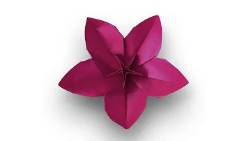 Origami Flower / Lovely Cherry Blossom