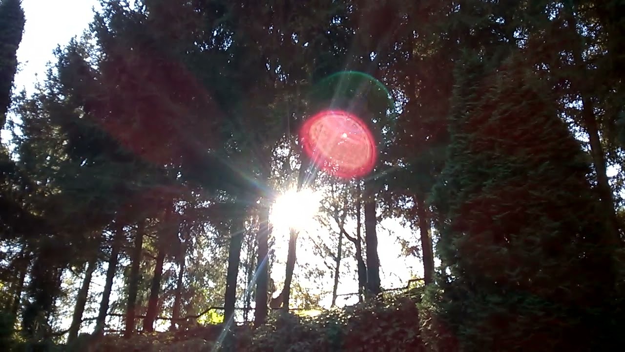 Manastirea de la Recea Tg Mures Ss