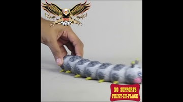 🐛 Flexi Robot Caterpillar