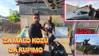 TERAMO SKUTER KOD MAJSTORA USPUT GLEDAMO KOZU I RENO