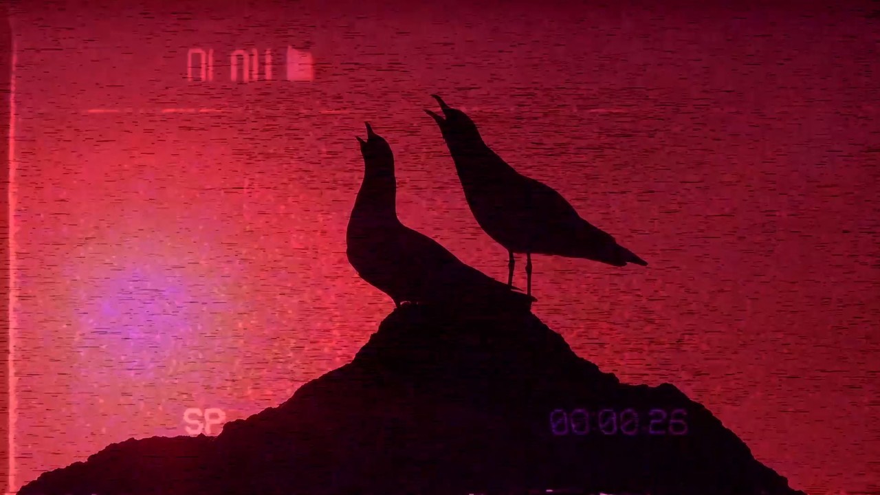 why joseph i had no idea [no ai playlist]