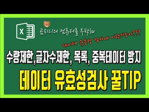   데이터 유효성 검사의 꿀기능 수량제한 글자수 제한 목록 중복데이터 방지