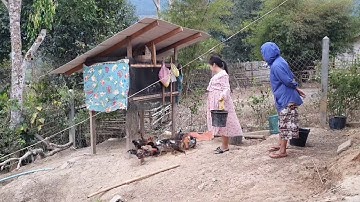 tag kis no kuv tus niam wb mus pub qaib thiab mus ywg zaub 30/01/2020