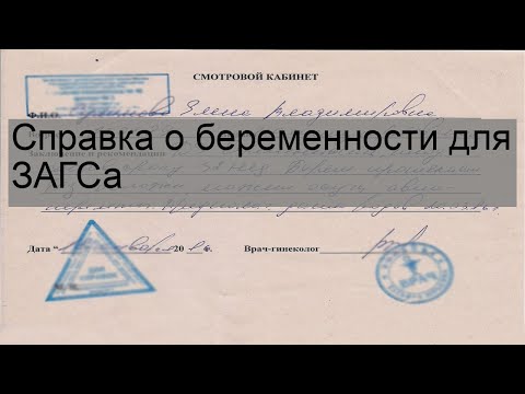 Справка о беременности для ЗАГСа