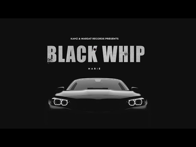 Black whip  (Official Video) Harie || Latest punjabi song 2023 |Wardat Records #hariemusic class=