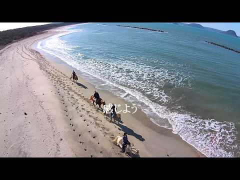 海へ　El Patio Ranch at Karatsu