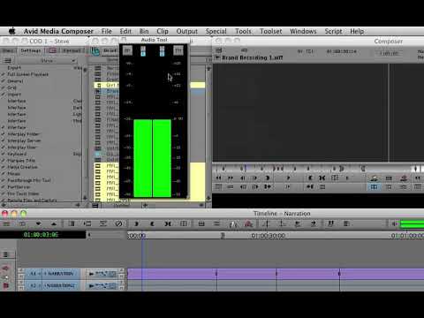 Avid Tutorial - 25 -  Audio Tool