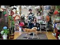 たんぽぽ「中条きよし」...ポン太と夢乃助🎶
