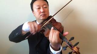 All of the Lights - Kanye West / Rihanna - William Yun Violin
