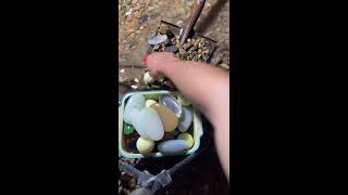 Live Stream 2026-08-08 07 37 15