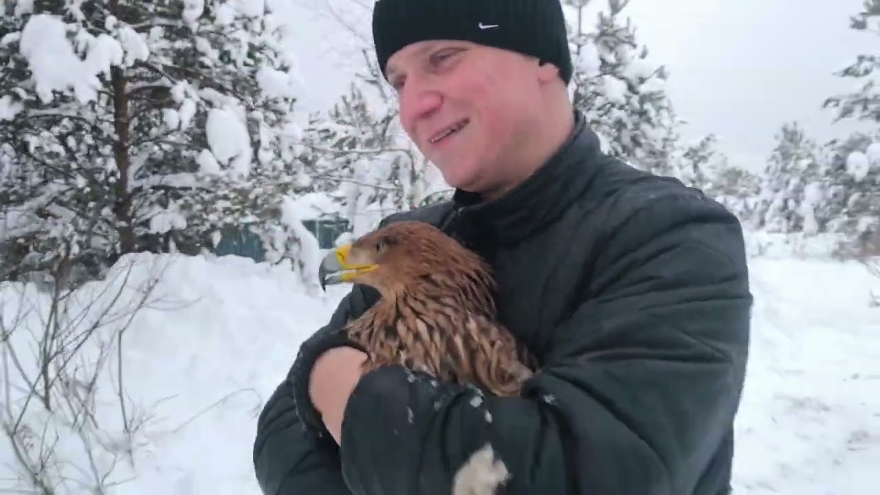 Птицы переселяются в новые вольеры