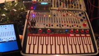 Buchla Morning Chorus