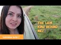 Entire day safari in Serengeti | Bhutanese YouTuber