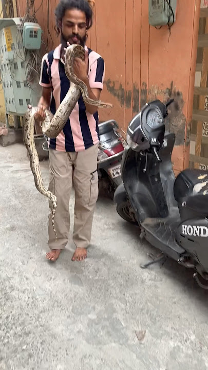 😳😳😳 #rudhrarahulpuriji #harharmahadev #snake #mahadevstatud #music #song #bollywood #shivskti