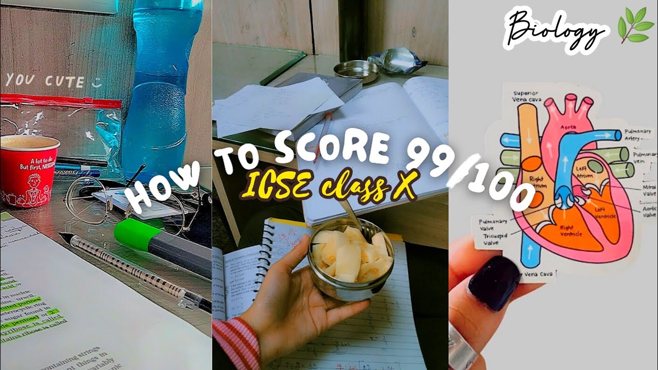 How did I score 99/100 in Bio?🌿|| ICSE class X boards|| Medicophilic🩺 ...