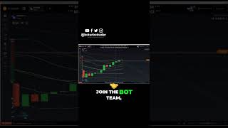 Trading Mentorship Program Updates