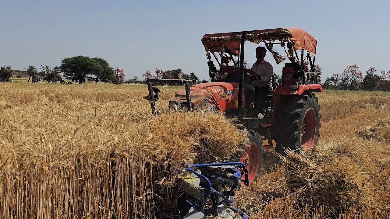 गेहूं की बंपर पैदावार | कटाई का हुआ शुभारंभ | गेहूं काटने और गट्ठे बॉधने की मशीन Kubota Tractor