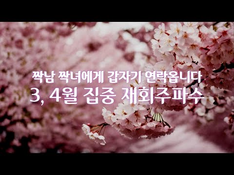 주파수🫯💓 표지 1