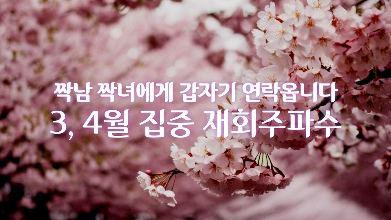 [‼️강력] 3,4월에만 들으세요. 특정기간 강력하게 재회파동을 끌어올립니다. 🌸