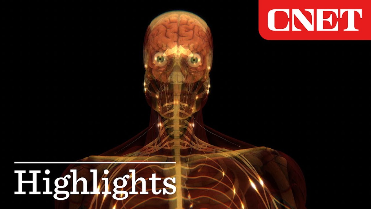 Jeff Bezos Invests in 'Immortality' Company: video thumbnail