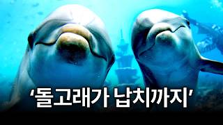 The man who worked like crazy for 3 days ‘caught by dolphins’