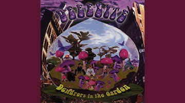 Music Selector Is the Soul Reflector