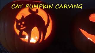 HALLOWEEN CAT PUMPKIN CARVING.