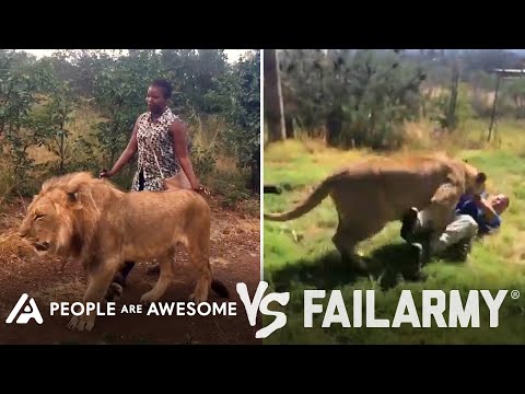 Lions, Freestyle Skiing & More! | People Are Awesome Vs. FailArmy