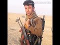 يحيا نريمان كوردي يحيا نريمان كوردي