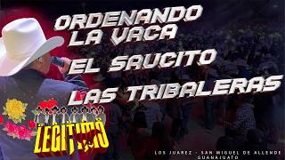 Ordeñando la Vaca | El Saucito | Las Tribaleras / Grupo Legitimo - Los Juarez SMA, GTO
