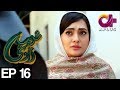 Ghareebzaadi - Episode 16 | A Plus ᴴᴰ Drama | Suzzaine Fatima, Shakeel Ahmed, Ghazala Kaife