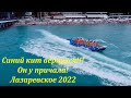 Кит вернулся!  Он теперь живет у причала! Лето 2022  🌴ЛАЗАРЕВСКОЕ СЕГОДНЯ🌴СОЧИ.