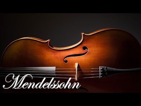 Classical Music For Studying And Concentration | Relaxing Classical Music To Study And Concentrate