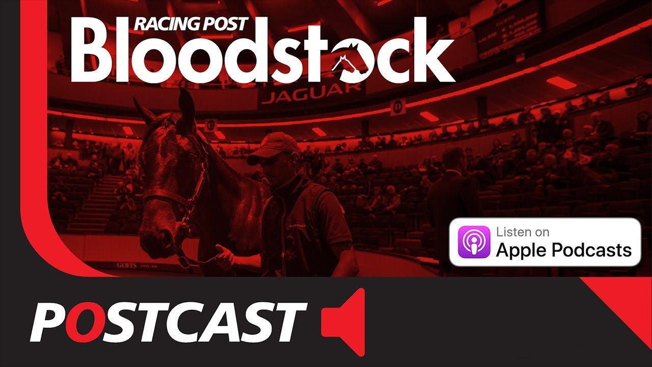 ascot racecourse wiki Bloodstock Postcast: Alex Elliott