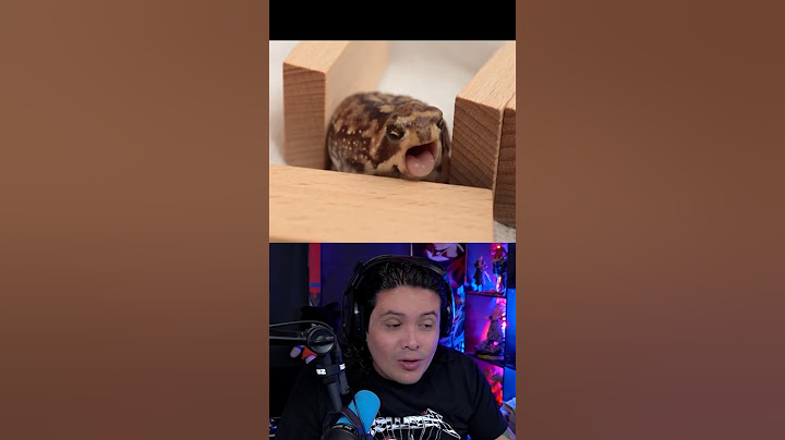 ASÍ BOSTEZAN LOS ANIMALES 😳