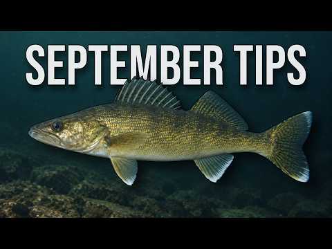 5 September Walleye Tips (Catch More Fish in Late Summer/Early Fall)