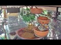Später Vormittag am Vogel-Spa (28.05.2026)