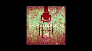 Natural Self - An Invisible Light (Robinn Remix)