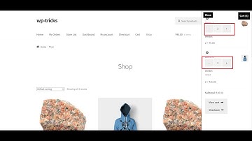 Add Custom Quantity Selector Input for WooCommerce Mini Cart