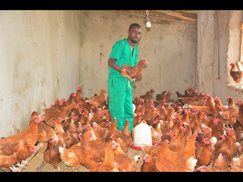 Xususiy rus jinsiy aloqa video