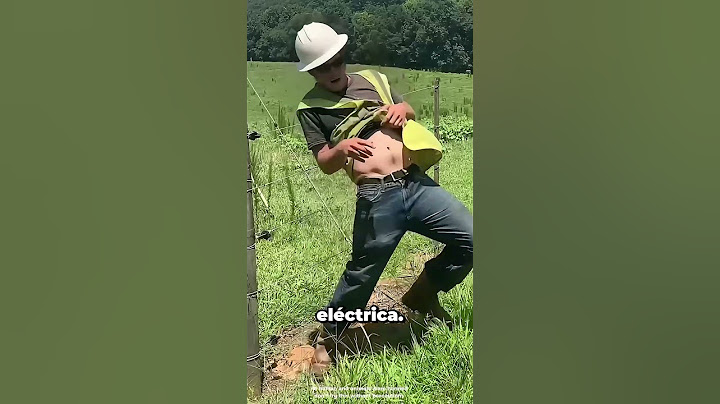 This Is How Electric Fences Work 😮