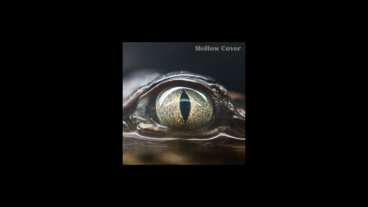 Joji - Glimpse of Us (cover) [not seriously]