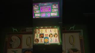 IGT Show Dogs Video Slot Machine Game Play.  Web Site:  https://toplineslotmachines.com