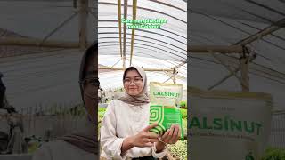 Rahasia buah dan bunga anti rontok pakai ini #bisatani #pupuk #calsinut #petanimuda #viral