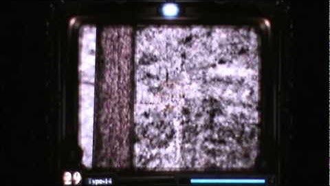 Fatal Frame Blind part 26